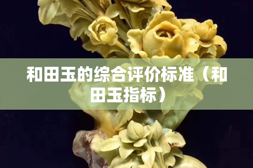 和田玉的綜合評價標準(和田玉指標) 和田玉的綜合評價標準(和田玉指標)