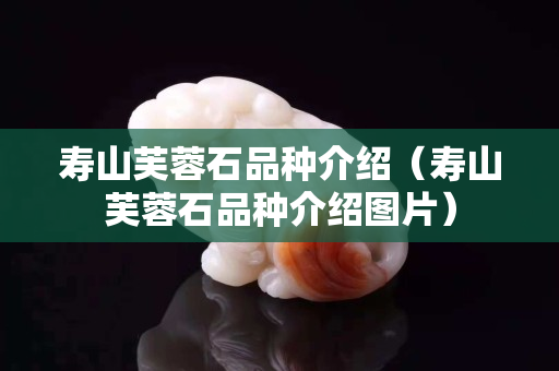 壽山芙蓉石品種介紹（壽山芙蓉石品種介紹圖片）