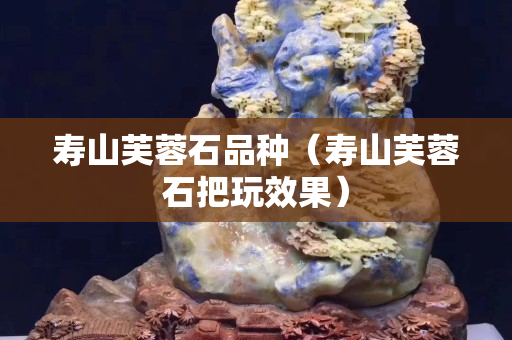 壽山芙蓉石品種（壽山芙蓉石把玩效果）