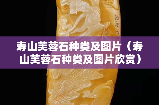 壽山芙蓉石種類及圖片(壽山芙蓉石種類及圖片欣賞) 壽山芙蓉石種類及圖片(壽山芙蓉石種類及圖片欣賞)