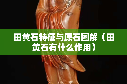田黃石特征與原石圖解（田黃石有什么作用）