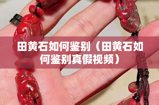 田黃石如何鑒別（田黃石如何鑒別真假視頻）