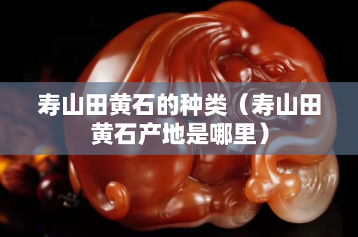 壽山田黃石的種類（壽山田黃石產地是哪里）