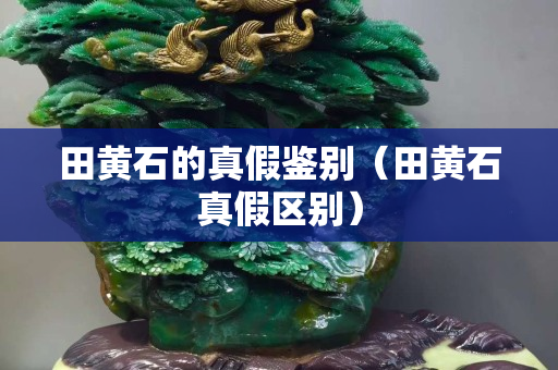 田黃石的真假鑒別（田黃石真假區(qū)別）