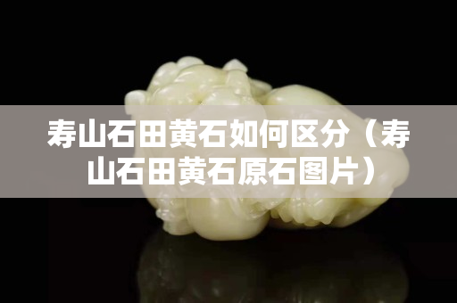 壽山石田黃石如何區分(壽山石田黃石原石圖片) 壽山石田黃石如何區分(壽山石田黃石原石圖片)