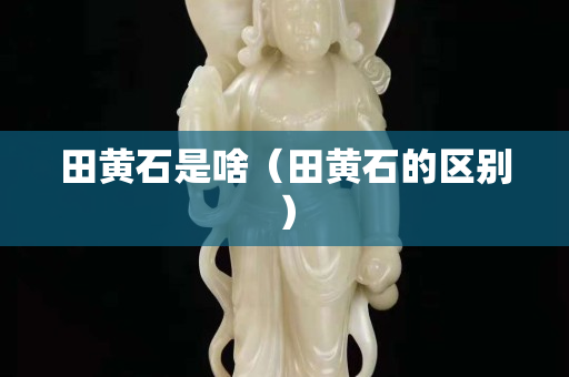 田黃石是啥（田黃石的區(qū)別）