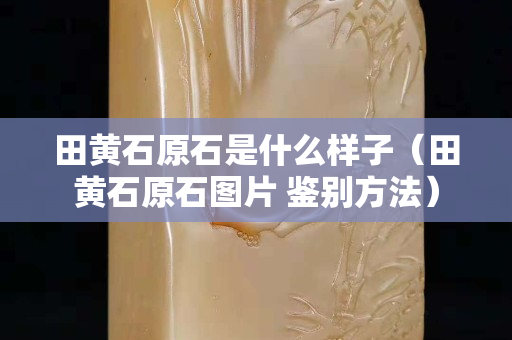 田黃石原石是什么樣子(田黃石原石圖片 鑒別方法) 田黃石原石是什么樣子(田黃石原石圖片 鑒別方法)