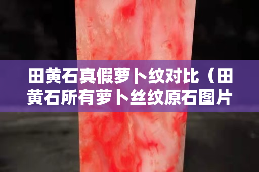 田黃石真假蘿卜紋對比(田黃石所有蘿卜絲紋原石圖片) 田黃石真假蘿卜紋對比(田黃石所有蘿卜絲紋原石圖片)