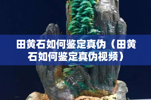 田黃石如何鑒定真偽（田黃石如何鑒定真偽視頻）
