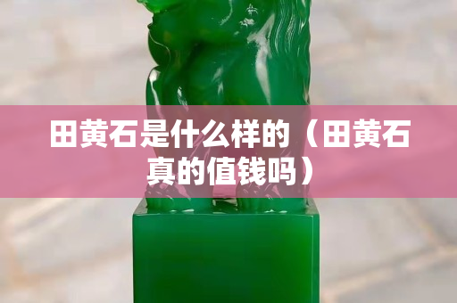 田黃石是什么樣的（田黃石真的值錢嗎）