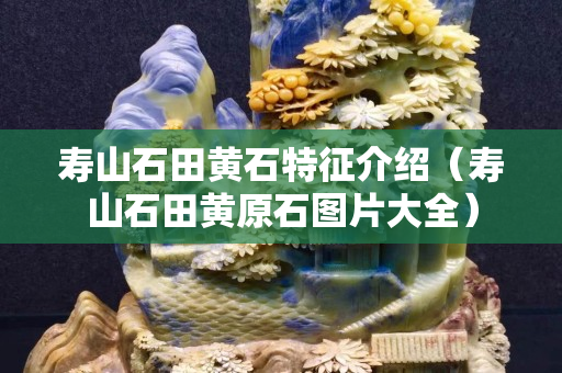 壽山石田黃石特征介紹（壽山石田黃原石圖片大全）