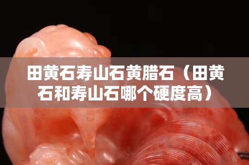 田黃石壽山石黃臘石（田黃石和壽山石哪個(gè)硬度高）