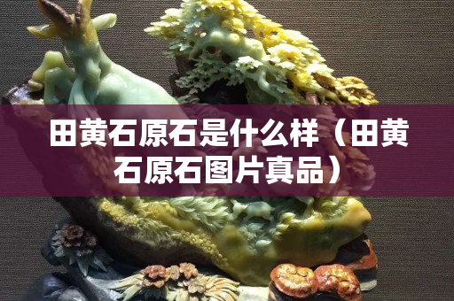 田黃石原石是什么樣（田黃石原石圖片真品）