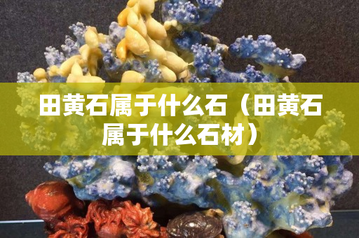 田黃石屬于什么石（田黃石屬于什么石材）