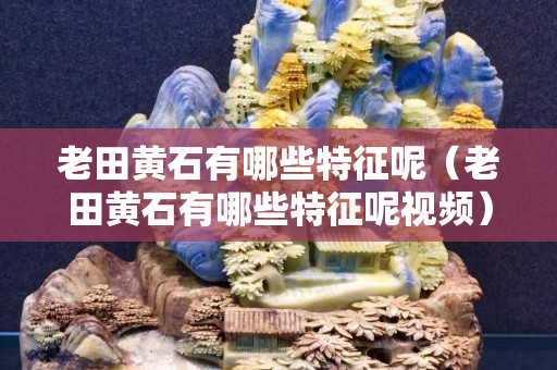 老田黃石有哪些特征呢（老田黃石有哪些特征呢視頻）