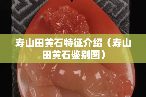 壽山田黃石特征介紹(壽山田黃石鑒別圖) 壽山田黃石特征介紹(壽山田黃石鑒別圖)