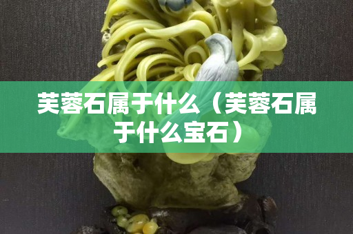 芙蓉石屬于什么（芙蓉石屬于什么寶石）