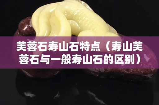 芙蓉石壽山石特點(壽山芙蓉石與一般壽山石的區別) 芙蓉石壽山石特點(壽山芙蓉石與一般壽山石的區別)