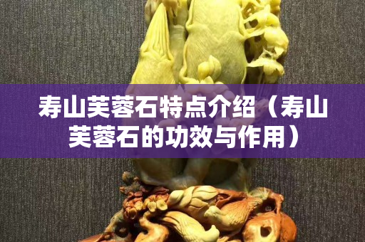 壽山芙蓉石特點介紹（壽山芙蓉石的功效與作用）