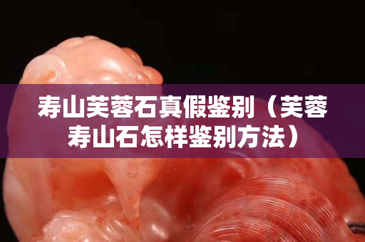 壽山芙蓉石真假鑒別（芙蓉壽山石怎樣鑒別方法）