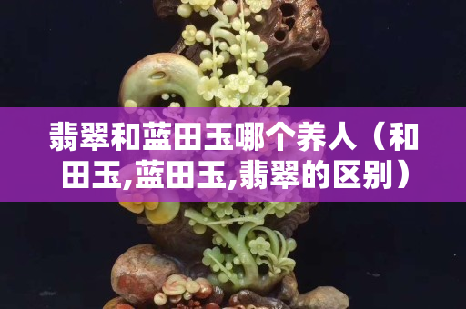 翡翠和藍田玉哪個養人（和田玉,藍田玉,翡翠的區別）