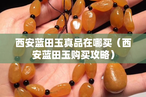 西安藍田玉真品在哪買（西安藍田玉購買攻略）