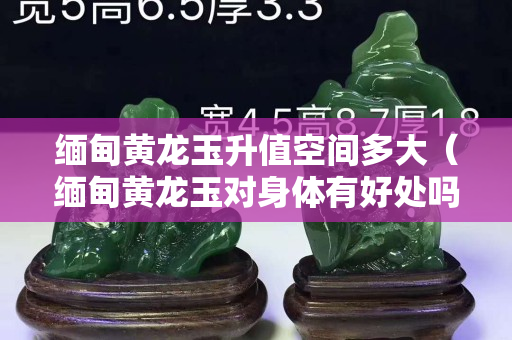 緬甸黃龍玉升值空間多大（緬甸黃龍玉對身體有好處嗎）