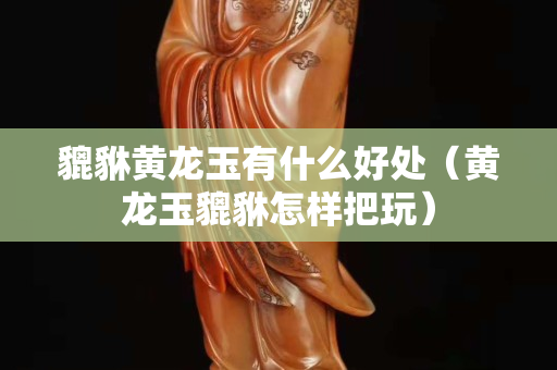 貔貅黃龍玉有什么好處（黃龍玉貔貅怎樣把玩）