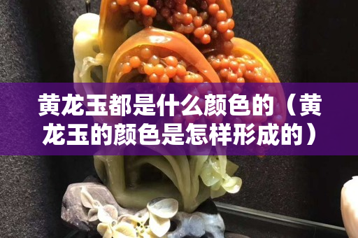 黃龍玉都是什么顏色的（黃龍玉的顏色是怎樣形成的）