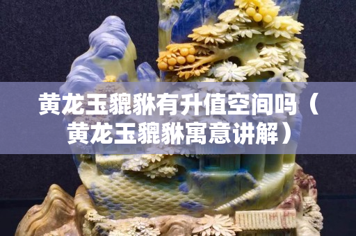 黃龍玉貔貅有升值空間嗎(黃龍玉貔貅寓意講解) 黃龍玉貔貅有升值空間嗎(黃龍玉貔貅寓意講解)