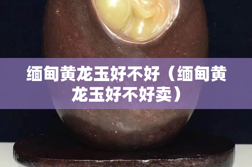 緬甸黃龍玉好不好（緬甸黃龍玉好不好賣）