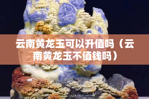 云南黃龍玉可以升值嗎（云南黃龍玉不值錢嗎）