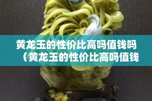黃龍玉的性價(jià)比高嗎值錢嗎（黃龍玉的性價(jià)比高嗎值錢嗎圖片）