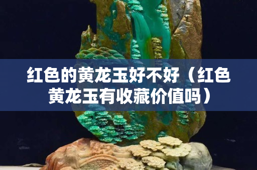 紅色的黃龍玉好不好（紅色黃龍玉有收藏價值嗎）