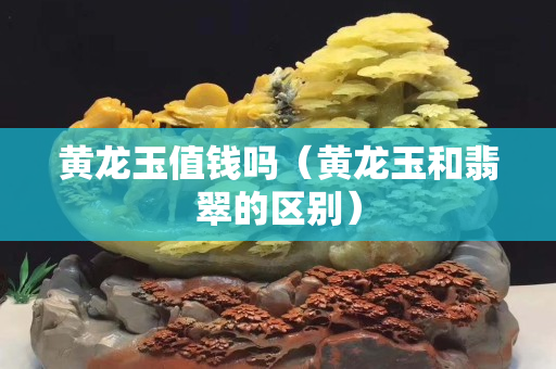 黃龍玉值錢嗎（黃龍玉和翡翠的區別）