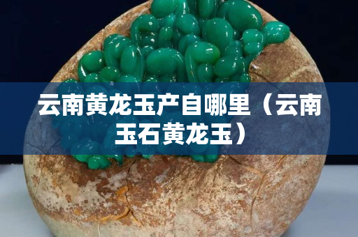云南黃龍玉產(chǎn)自哪里（云南玉石黃龍玉）