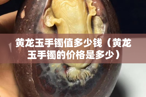 黃龍玉手鐲值多少錢（黃龍玉手鐲的價格是多少）