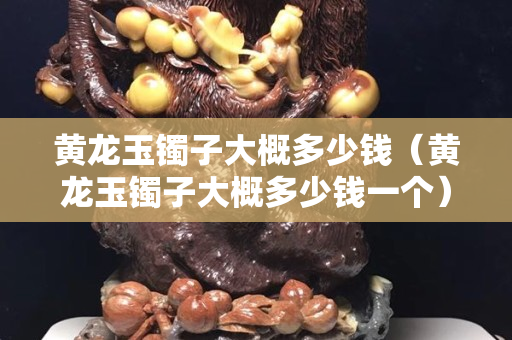 黃龍玉鐲子大概多少錢(qián)（黃龍玉鐲子大概多少錢(qián)一個(gè)）