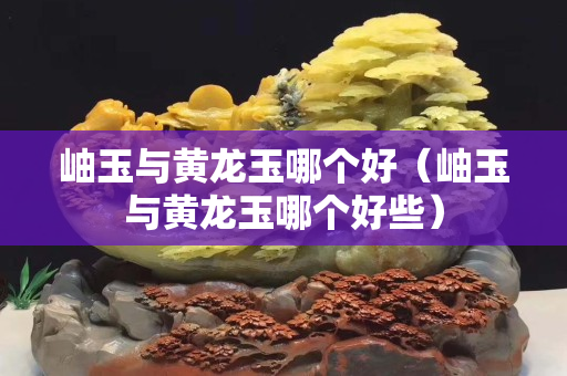 岫玉與黃龍玉哪個好（岫玉與黃龍玉哪個好些）