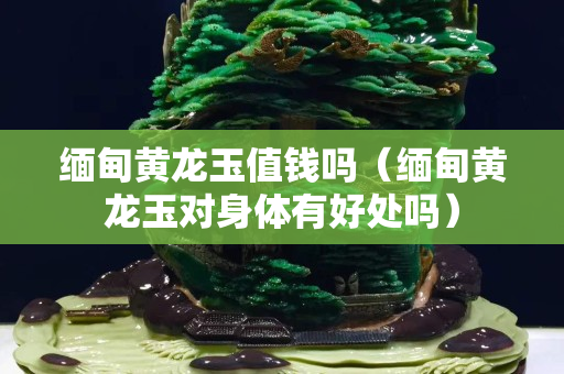 緬甸黃龍玉值錢(qián)嗎（緬甸黃龍玉對(duì)身體有好處嗎）