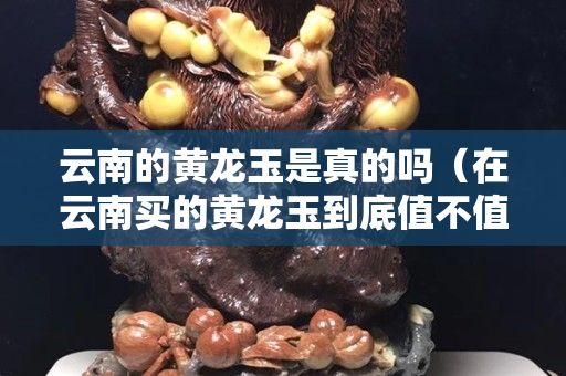 云南的黃龍玉是真的嗎（在云南買的黃龍玉到底值不值錢）