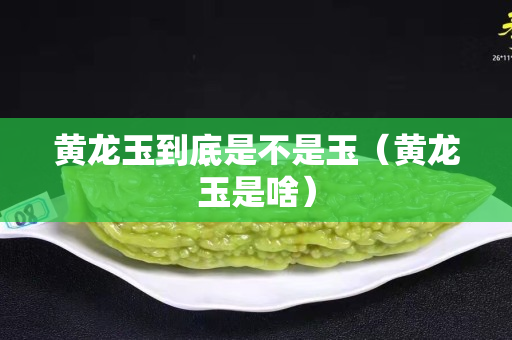 黃龍玉到底是不是玉（黃龍玉是啥）
