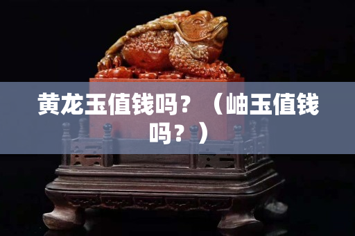黃龍玉值錢嗎？（岫玉值錢嗎？）