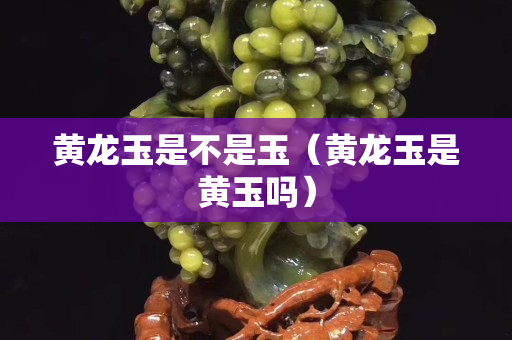 黃龍玉是不是玉（黃龍玉是黃玉嗎）