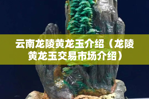 云南龍陵黃龍玉介紹（龍陵黃龍玉交易市場介紹）