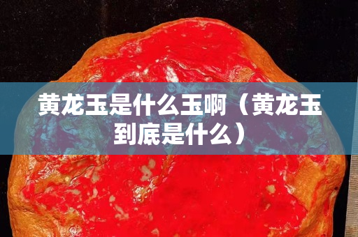 黃龍玉是什么玉啊（黃龍玉到底是什么）