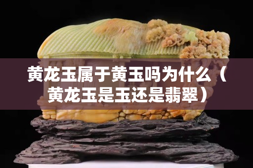 黃龍玉屬于黃玉嗎為什么（黃龍玉是玉還是翡翠）