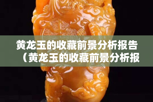黃龍玉的收藏前景分析報告（黃龍玉的收藏前景分析報告怎么寫）