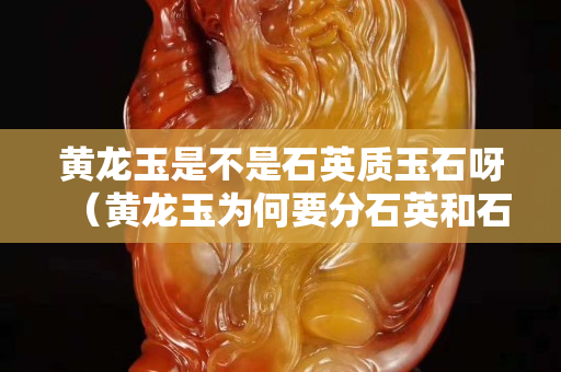 黃龍玉是不是石英質玉石呀（黃龍玉為何要分石英和石英玉）
