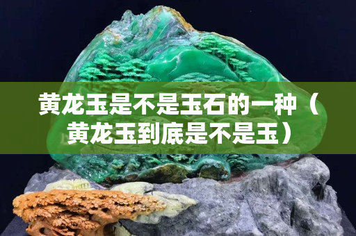 黃龍玉是不是玉石的一種（黃龍玉到底是不是玉）